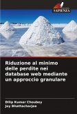 Riduzione al minimo delle perdite nei database web mediante un approccio granulare Riduzione al minimo delle perdite nei database web mediante un approccio granulare