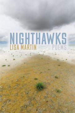 Cover Nighthawks