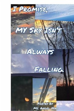 I PROMISE MY SKY ISN'T ALWAYS FALLING - Mae, Ms. Angel