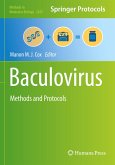 Baculovirus Baculovirus