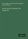 Dante's Divine Commedy: The Purgatorio