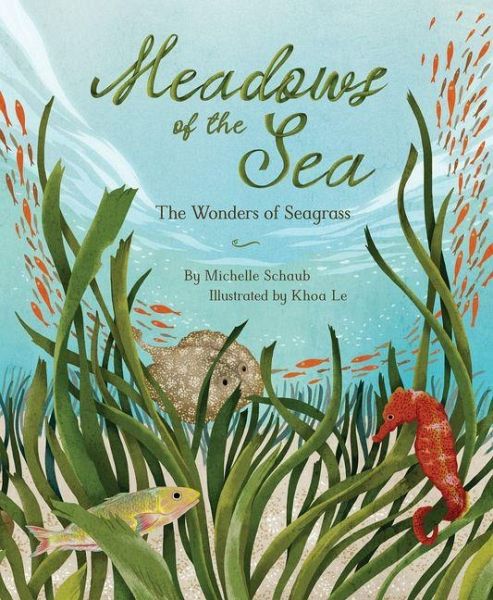 Meadows of the Sea