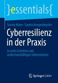 Cyberresilienz in der Praxis Cyberresilienz in der Praxis