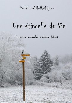 Une étincelle de vie (eBook, ePUB) - Wolf-Rodriguez, Valérie