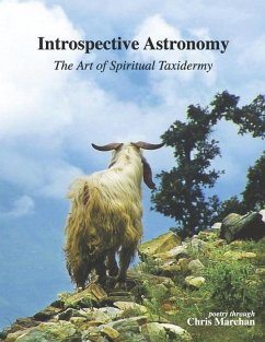Cover Introspective Astronomy