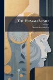 The Human Brain The Human Brain