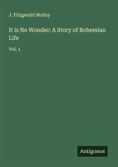 Cover It is No Wonder: A Story of Bohemian Life
