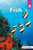 Fish Fish
