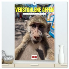 Verstohlene Affen - Lustige Diebestour für die ganze Familie (hochwertiger Premium Wandkalender 2026 DIN A2 hoch), Kunstdruck in Hochglanz