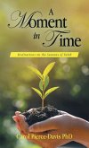 A Moment in Time
