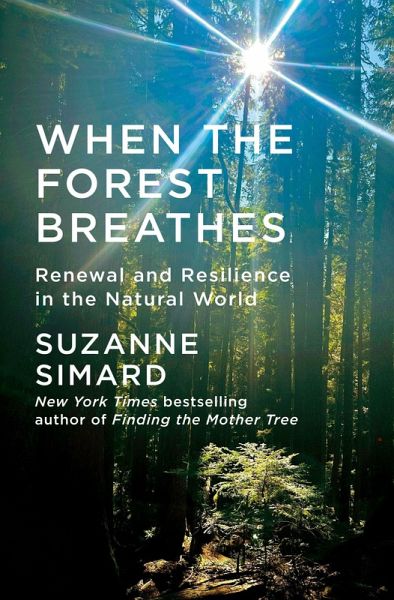When the Forest Breathes When the Forest Breathes