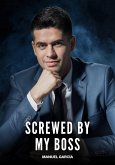 Screwed by my Boss (eBook, ePUB)