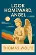 LOOK HOMEWARD, ANGEL (eBook, ePUB) - Bild 1