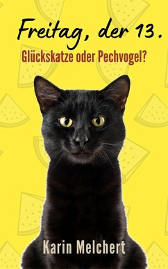 Cover Freitag, der 13. (eBook, ePUB)