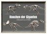 Knochen der Giganten - Dinosaurier im... - Bild 1
