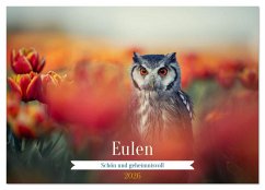 Cover Eulen - schön und geheimnisvoll (Wandkalender 2026 DIN A2 quer), CALVENDO Monatskalender