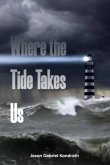 Where the Tide Takes Us (eBook, ePUB)