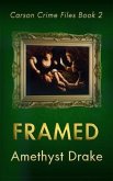 Framed (eBook, ePUB)