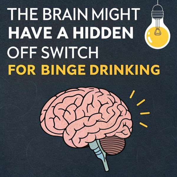 The Brain Might Have a Hidden 'Off Switch' for Binge Drinking (eBook, ePUB) The Brain Might Have a Hidden 'Off Switch' for Binge Drinking (eBook, ePUB)