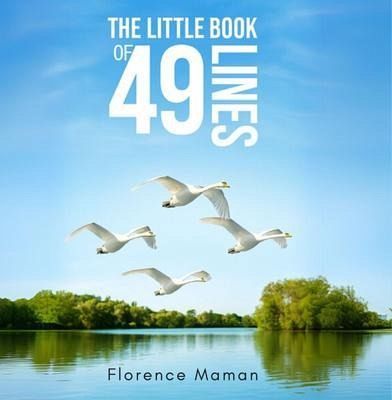 The Little Book of 49 Lines (eBook, ePUB) The Little Book of 49 Lines (eBook, ePUB)