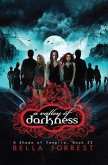 A Valley of Darkness (eBook, ePUB)