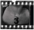 The 3rd And The Mortal (Cd)