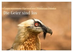 Cover Die Geier sind los (Tischkalender 2026 DIN A5 quer), CALVENDO Monatskalender
