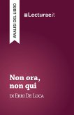 Non ora, non qui - Erri De Luca (analisi del libro) (eBook, ePUB)