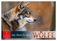 Im Reich der Wölfe (Wandkalender 2026 DIN A3 quer), CALVENDO Monatskalender