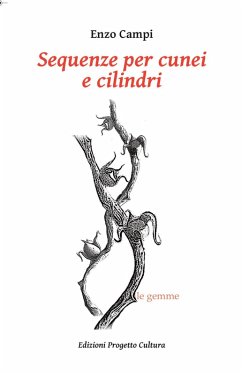 Sequenze per cunei e cilindri - Campi, Enzo