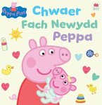 Chwaer Fach Newydd Peppa