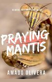 Praying Mantis Praying Mantis