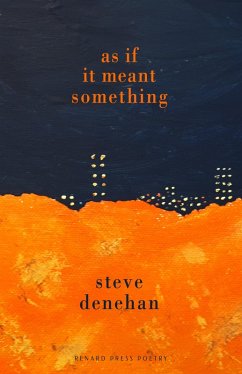 As if it Meant Something (eBook, ePUB) - Denehan, Steve