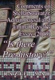 Comments on Stella Souvatzi, Adnan Baysal and Emma Baysal's Essay (2019)  Comments on Stella Souvatzi, Adnan Baysal and Emma Baysal's Essay (2019)