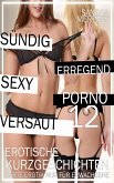 Sündig - Sexy - Versaut - Teil 12 (eBook, ePUB)