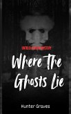 Where the Ghosts Lie (eBook, ePUB)