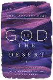 God in the Desert (eBook, ePUB)