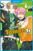 Echt jetzt, Tamon? 04 (eBook, ePUB)