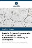 Lokale Schwankungen der Ernteerträge und Landbewirtschaftung in Äthiopien Lokale Schwankungen der Ernteerträge und Landbewirtschaftung in Äthiopien