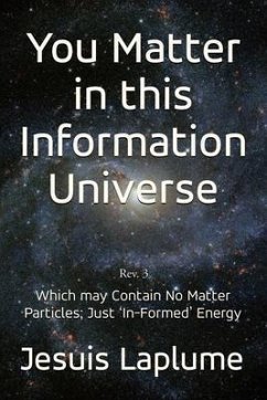 You Matter in this Information Universe (eBook, ePUB) - Laplume, Jesuis