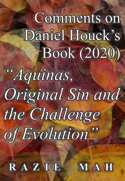 Comments on Daniel Houck's Book (2020) 