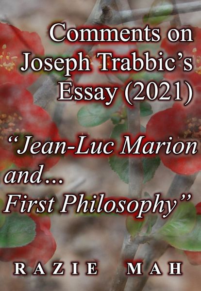 Comments on Joseph Trabbic's Essay (2021) 