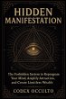 Hidden Manifestation - Bild 1