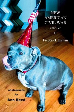 Cover New American Civil War