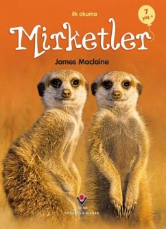 Cover Ilk Okuma - Mirketler