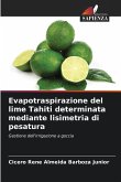 Evapotraspirazione del lime Tahiti determinata mediante lisimetria di pesatura Evapotraspirazione del lime Tahiti determinata mediante lisimetria di pesatura