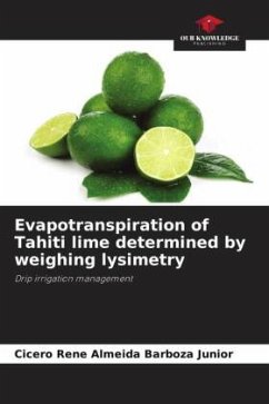 Cover Evapotranspiration of Tahiti lime determined by weighing lysimetry