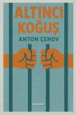 Altinci Kogus Altinci Kogus
