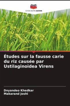 Cover Études sur la fausse carie du riz causée par Ustilaginoidea Virens