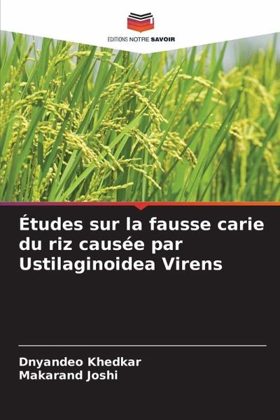 Études sur la fausse carie du riz causée par Ustilaginoidea Virens
